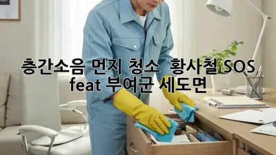 🤯 층간소음 먼지 청소? 🧹 황사철 SOS! (feat. 부여군 세도면)