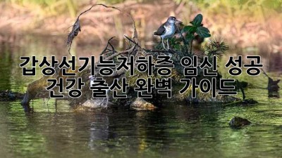 갑상선기능저하증🤰 임신 성공 & 건강 출산 완벽 가이드! 👶