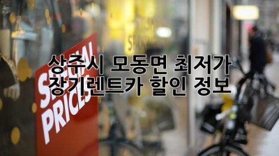 상주시 모동면 최저가 장기렌트카 할인 정보!