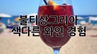 불티상그리아: 색다른 와인 경험
